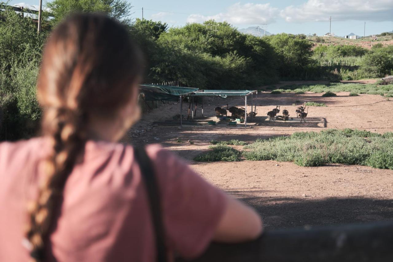 Africamps Klein Karoo Villa Oudtshoorn Buitenkant foto